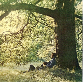 Plastic Ono Band, old